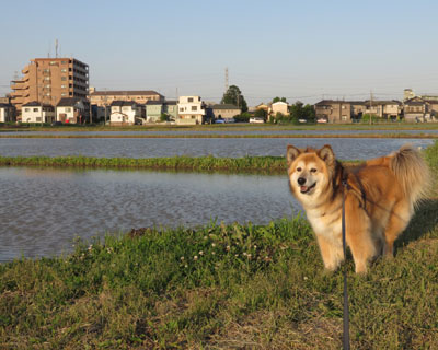 �c�A���̋G��