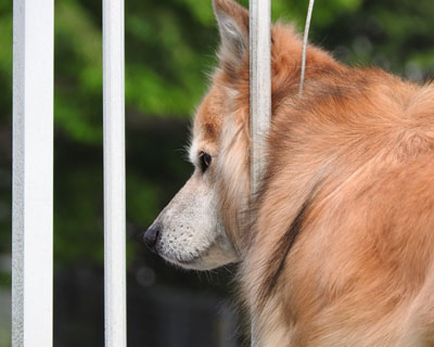 �˂��̌����肪�d��