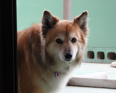 �������������