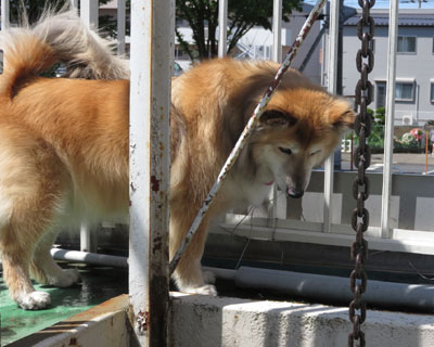 �˂��E�E�E