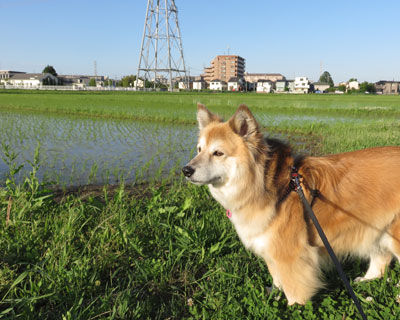 �����Ă���