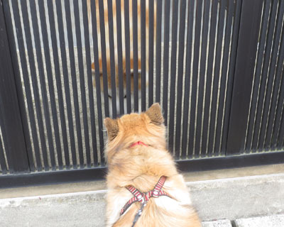 �H�c����A����ɂ���