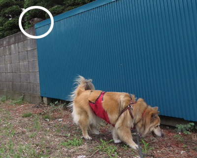 �˂�������C������