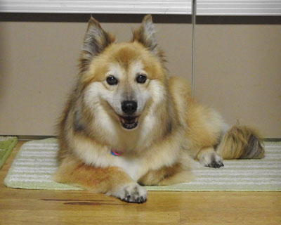 �炪�������ďΊ��