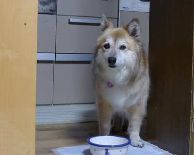 �������킢