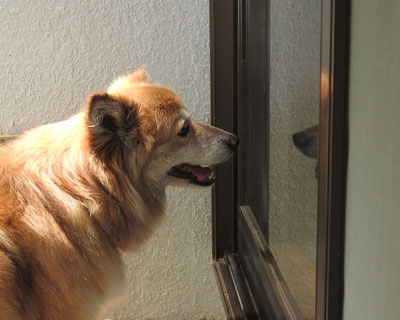 �����E�E�E