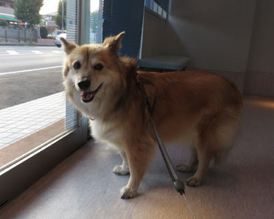 �N�����ƕa�@�ʂ���������