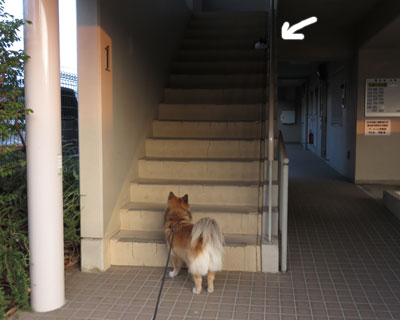 �˂��E�E�E