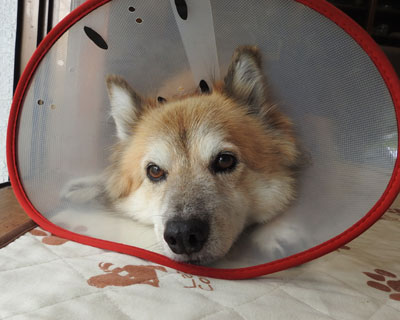 �ҊԂ��y��