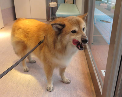 �܂��a�@����