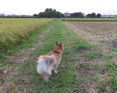 �����n�Q��