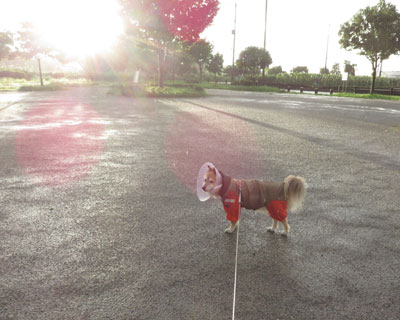 �̋��̂��΂Ő삪���󂵂��񂾂�