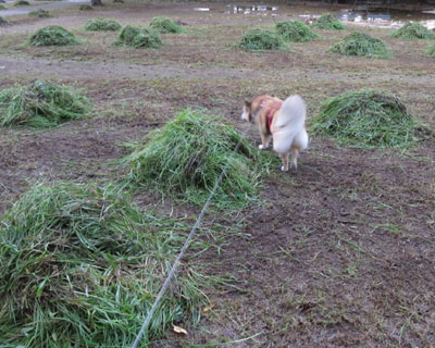 �Z�킽���͖�������������