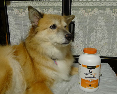 �ŋ߁A�ӂ��Ԃ����ɂ��