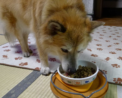 �Ȃ񂩈ꕞ�����Ă�C������