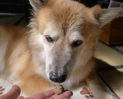 �ǂ�ǂ�o��