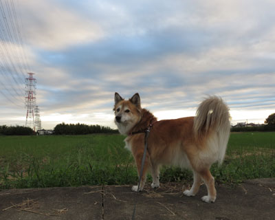 �_���ς���