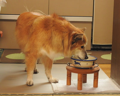 ���̔w�������Ⴍ�Ȃ���