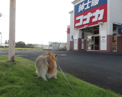 ���݂܂���A�E���Ƃ��܂�