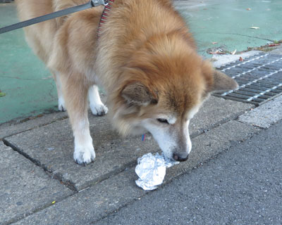 ���������A���~�z�C��