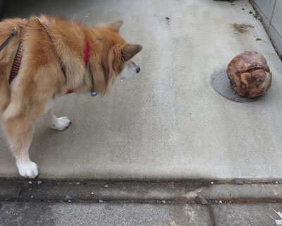 �Ȃ񂾂����킢