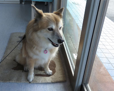 �P�c�����ꂽ