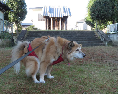 ��������Ȃ������