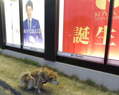 �ɂ�܂�Ȃ���������