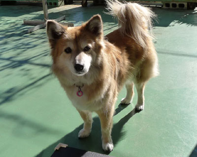 �V���͊炪��Ȃ��Ȃ�