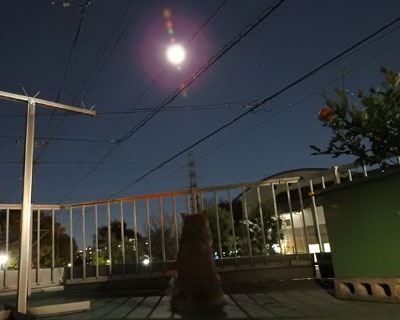 ��̊Ď����p�x������