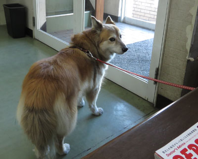 ���x���N����