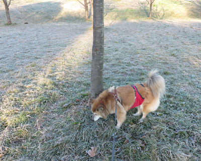 ���N�͑������Ȃ�����