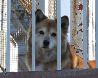 �u���Ă��ڂ�̊�