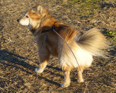 ���������Ȃ�