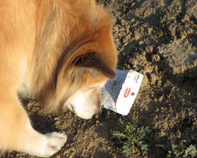 �܂����������S�~