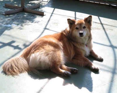 �������Ȃ��͂�����������