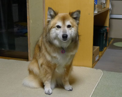 ���֎q�҂�