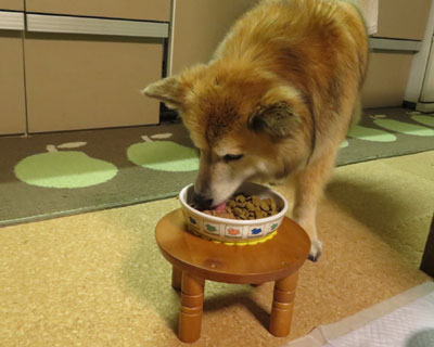 ����������̂ŃR���N�}�b�g