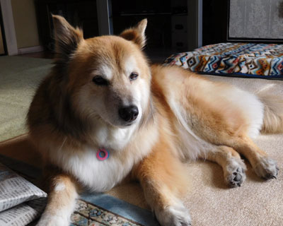 �΁[����͖���