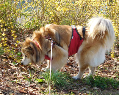 �����M���E���炢��