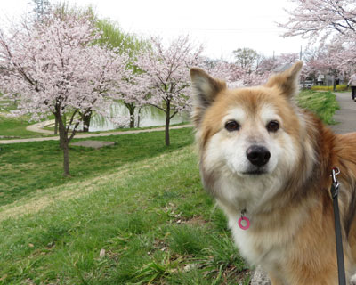 �����炢����