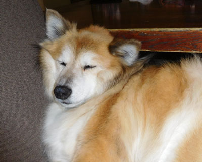 ���֎q�ł��M���b