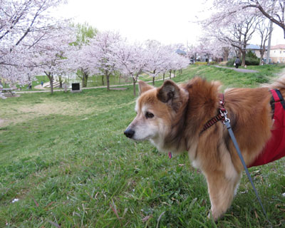 ���J����