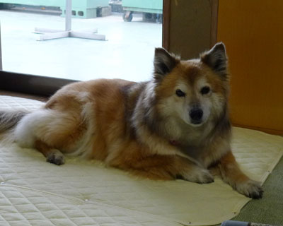 �Ȃɂ�����������