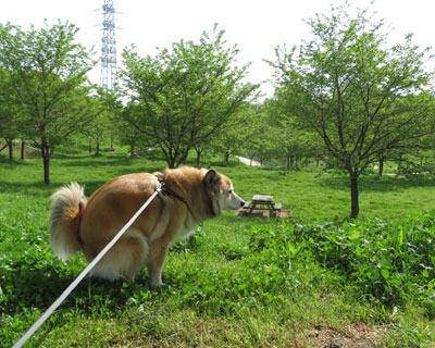 ��������t����