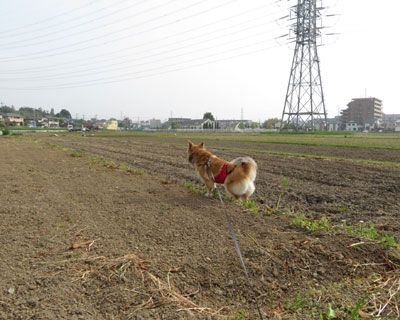 �Ȃɂ��c��ڂ��Q��������