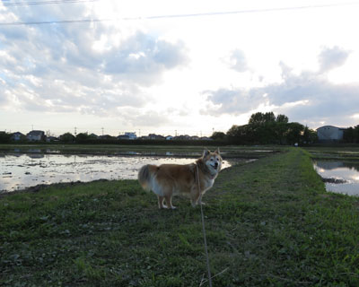 �������o��