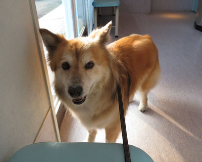 �N�����ƕa�@�ʂ���������