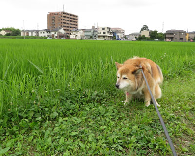 �C�l��Q����