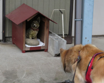 ���A���Ȃ���